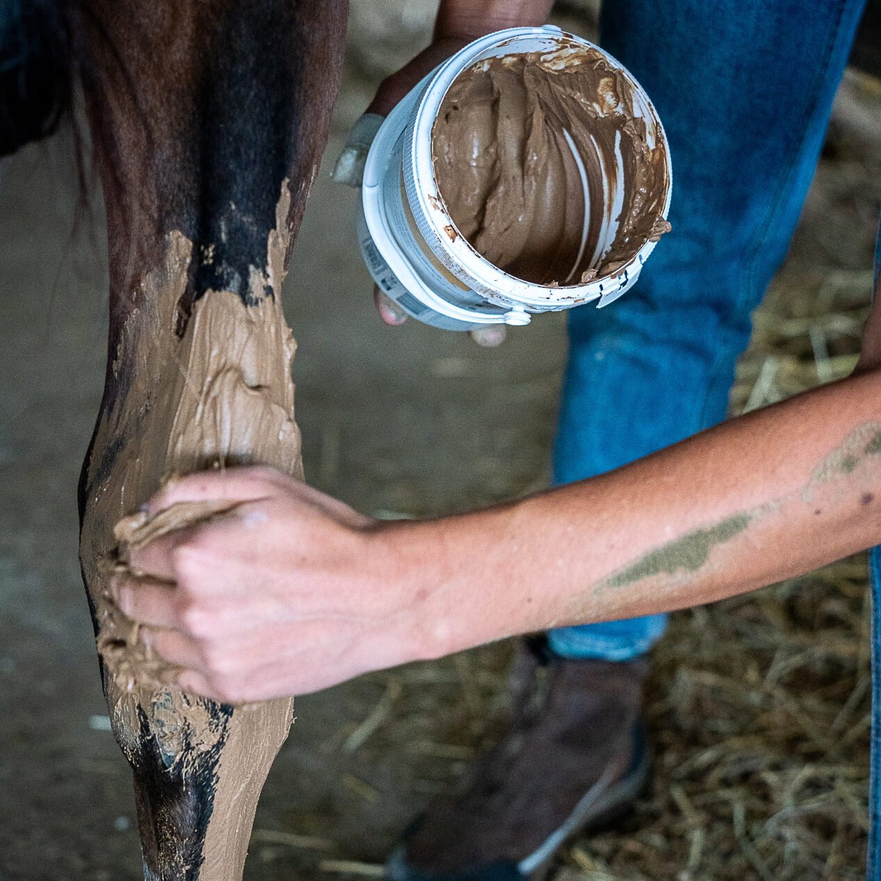 Application d'argile drainante en pâte KELPY sur les membres d'un cheval