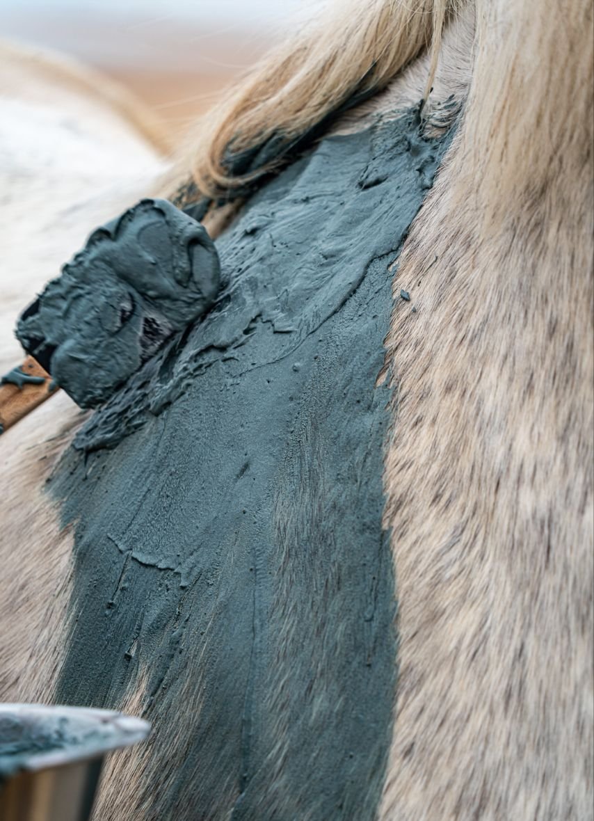 bien-etre-animal-kelpy-passion Thérapie manuelle soins aux algues cheval