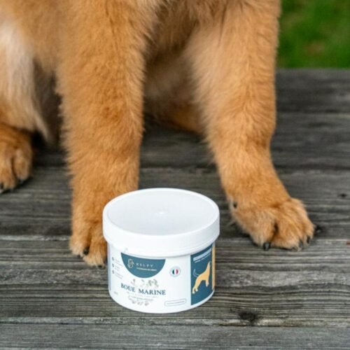 Boue marine de Noirmoutier sur les articulations d'un chien