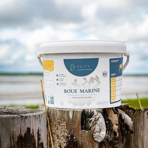 Boue marine KELPY de Noirmoutier pour les soins des membres et du corps des chevaux