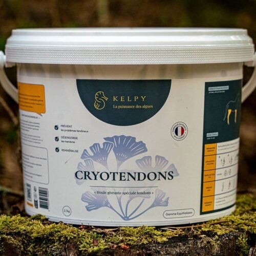 Cryotendons KELPY sur les tendons d'un cheval de sport