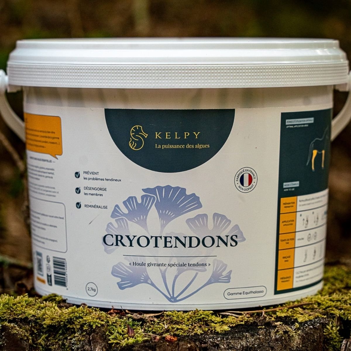 Cryotendons KELPY sur les tendons d'un cheval de sport