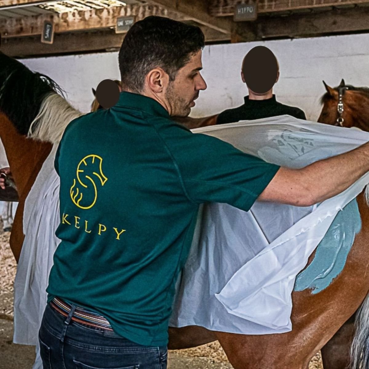 Feuille d'enveloppement biodégradable appliquée sur cheval avec soin marin - KELPY